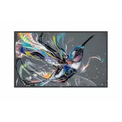 50" D-LED ECO-design 4K Display, Android10, 18/7 landscape/portrait, 350cd/m²